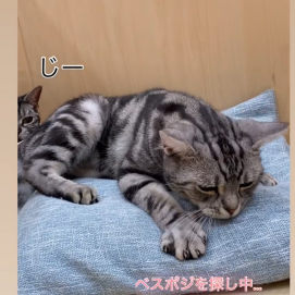 ふみふみ大臣