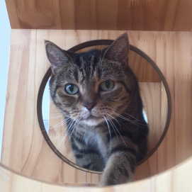 そろり👀