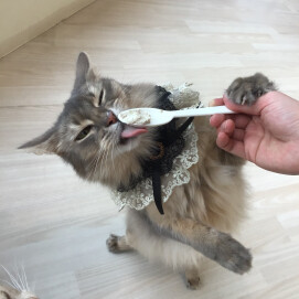 12月のお誕生日会🎂