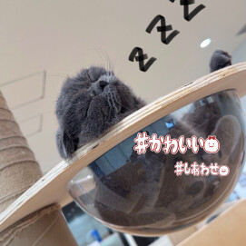 いい一日だったね