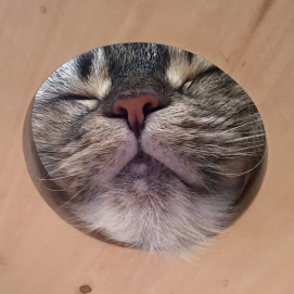 穴から可愛い寝顔💤