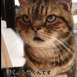 食欲の秋🍂🍠