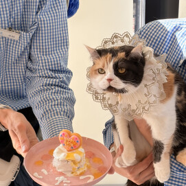 お誕生日会の様子🎉