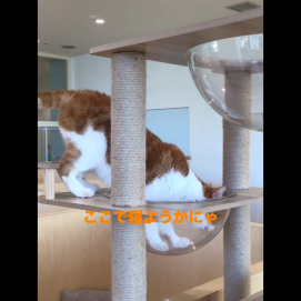 ここ空いてますか？👀