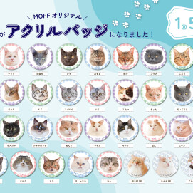 アクリルバッチのラインナップをご紹介！⭐️