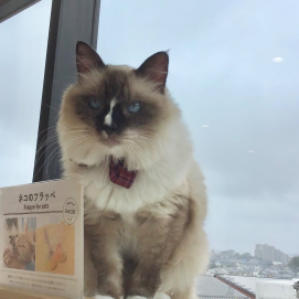 甘え上手🎀