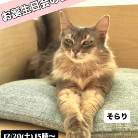 ソラリ&ノリスケ🎂