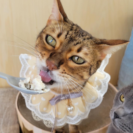 ハッピーバースデイ🥳