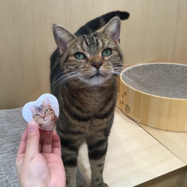 缶バッジのスペシャルが新しくなりました❣️