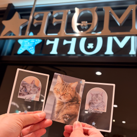 😼MOFFコレクションカード販売中✨