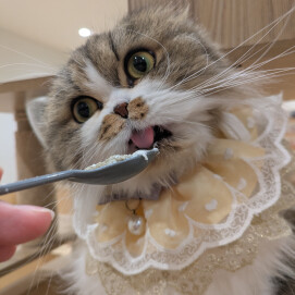 お誕生日会開催しました❣️