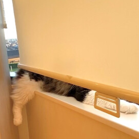 イケメンみーつけた👀