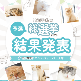 🗳️ネコ総選挙予選の結果✨🐈‍⬛