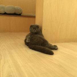 まったりコウメちゃん