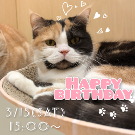 お誕生日会のお知らせ📢