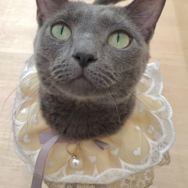 6/19は田吾作くんの誕生日🎂