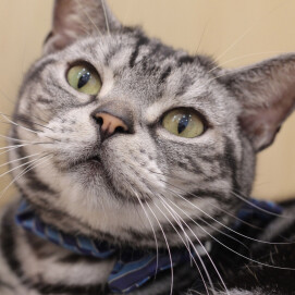 キラキラお目目の先のは✨