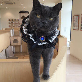 レイちゃんのお誕生日🎂🎉