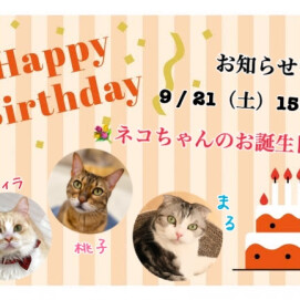 💐9月　ネコちゃんのお誕生日会のお知らせ🎂