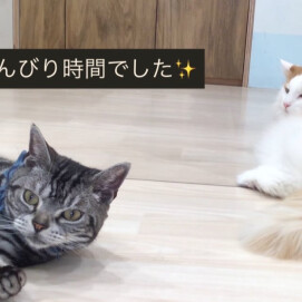 エドくんとライガくん😽