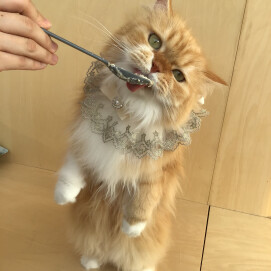 6月26日に開催したお誕生日会(2)の様子✨