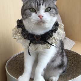 お誕生日マルくんです🎂