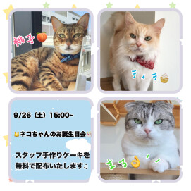 🎂9月生まれのネコちゃんのお誕生日会のお知らせ✨