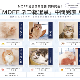 🐈MOFF ネコ総選挙　中間発表🐱