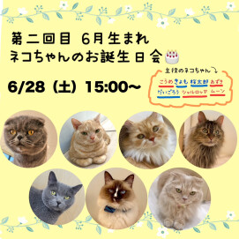 第2回目ネコちゃんのお誕生日会のお知らせ🎂