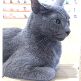 独特なくつろぎ方