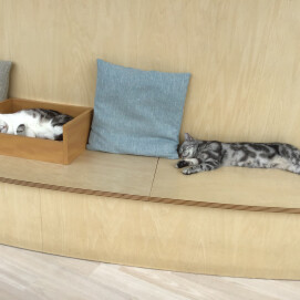 リラックス中…🍀