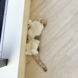 ムチムチあんずちゃん💛