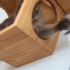 いつでも全力　そらりちゃん
