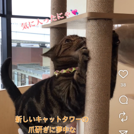 夢中で