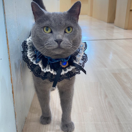 だいごろうくんHBD🎉