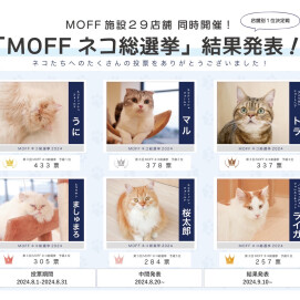 🐈MOFFネコ総選挙　予選結果発表✨
