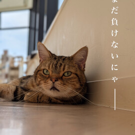 まだ負けられない