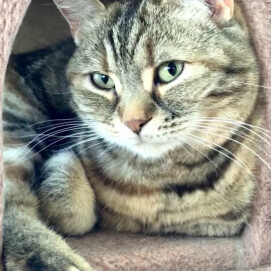 初めはご挨拶から、、💛