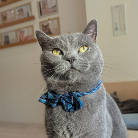 近ければ近いほど👍