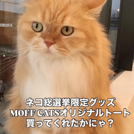 限定オリジナルトートバッグ販売中！