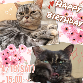 お誕生日会のお知らせ📢
