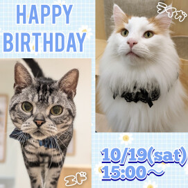 お誕生日会のお知らせ🎂