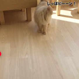 るんるん♪うに君