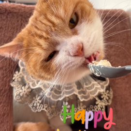 5月のお誕生日会🎂