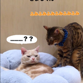 2人ともリラックス？