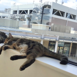 お天気最高☀️