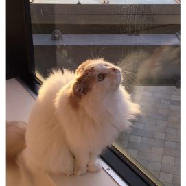 気になるものは