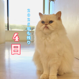 2025年も残り4日⛄️