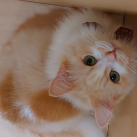 遊ぶの大好き！