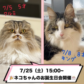 7月生まれネコちゃんのお誕生日会開催✨